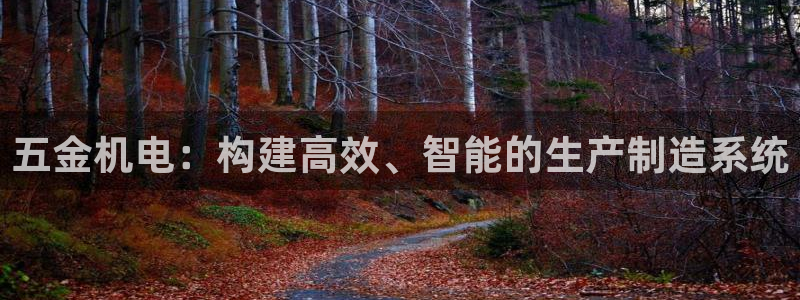 云顶国际是个什么网站