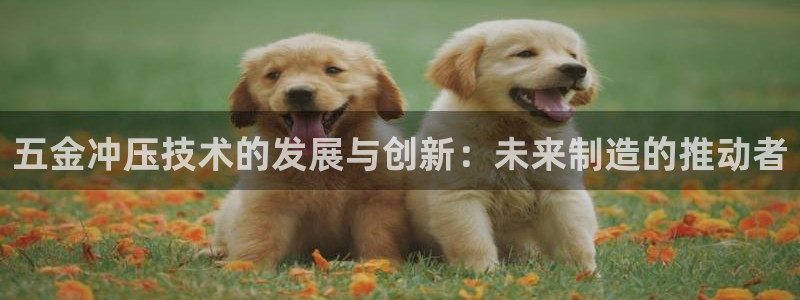 yd2333云顶电子游戏