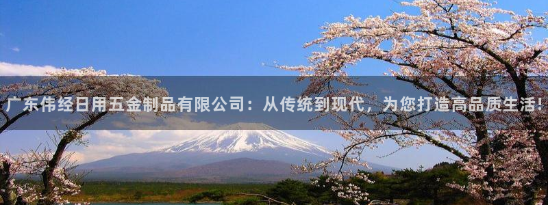 云顶国际软装公司怎么样知乎