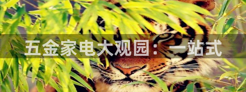 云顶国际高中d s e班学费多少