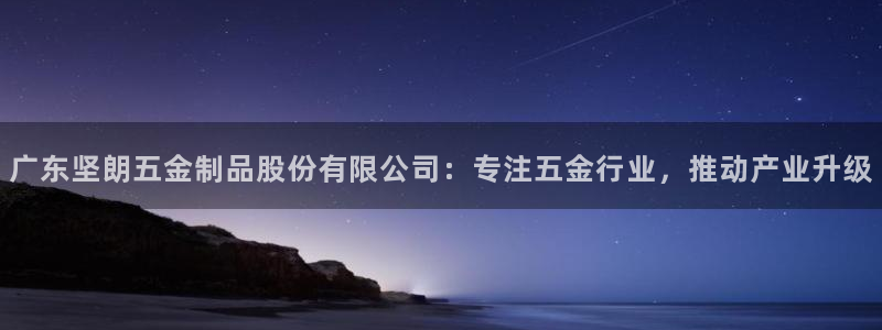 云顶国际百度百科下载