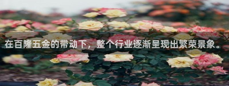 云顶国际是不是真的吗