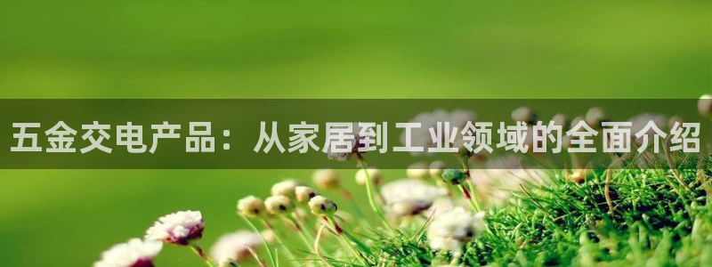 云顶国际商务会所电话