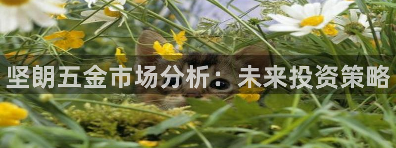 云顶国际大厦地址