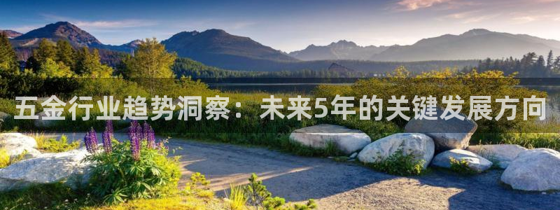 云顶国际app是什么软件