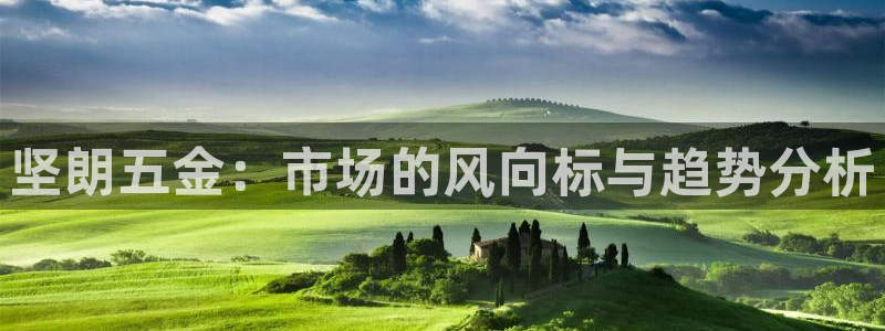 淮北云顶国际雷刚