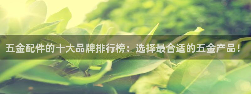 云顶国际晟荣协会荣誉奖项
