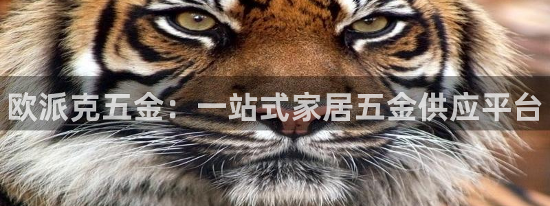 淮北云顶国际俱乐部电话