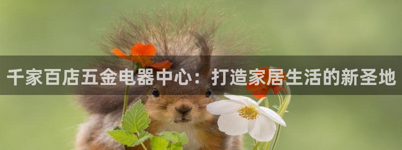 云顶国际--行业领导品牌