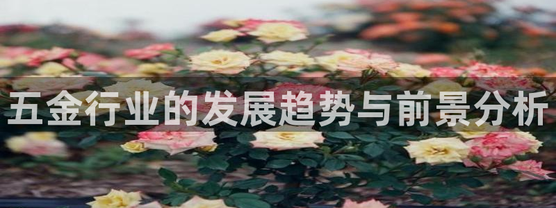 云顶国际高中学费多少钱