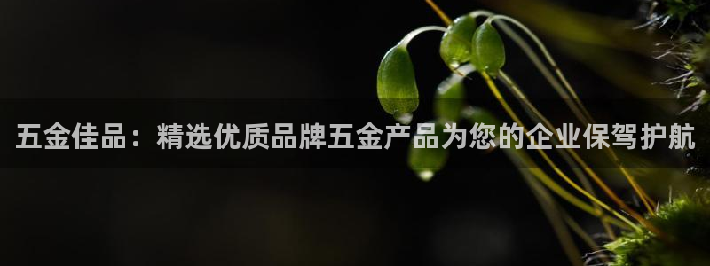 太原云顶国际酒店老板