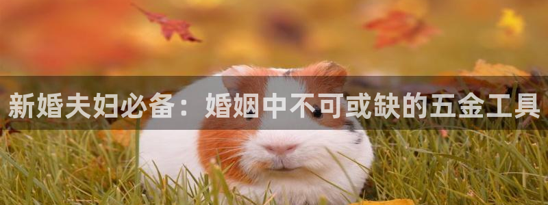 云顶集团专属APP