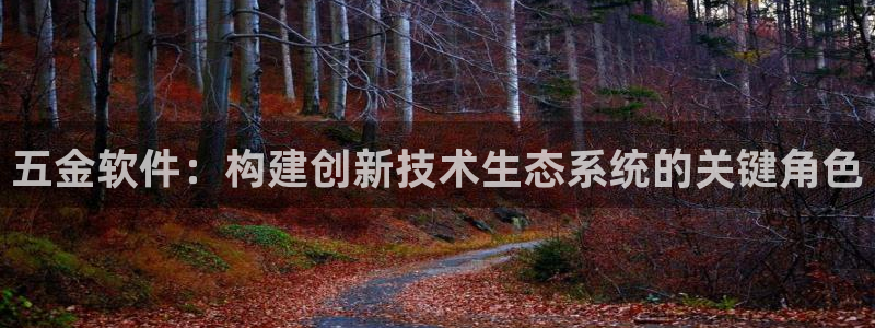 云顶电子游戏网站