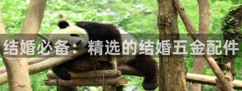 云顶国际yd333团体官网