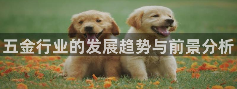 云顶国际百姓渔村怎么样