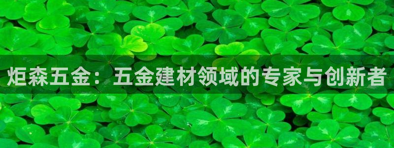 云顶国际黄钊华