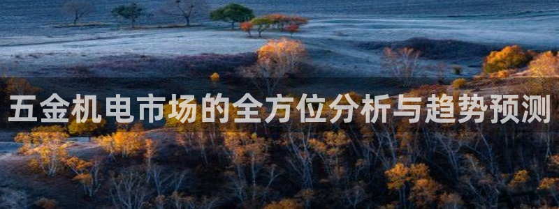 云顶国际提现不到账什么原因