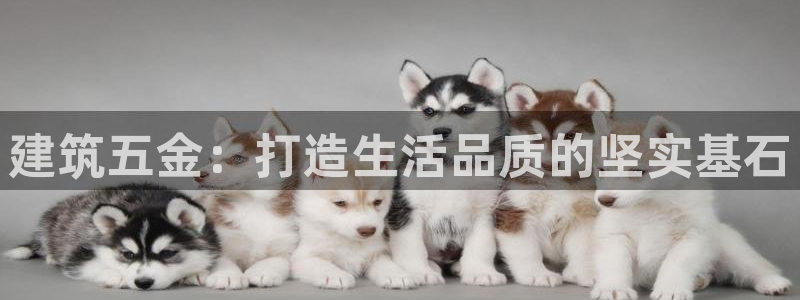 云顶国际版怎么下载