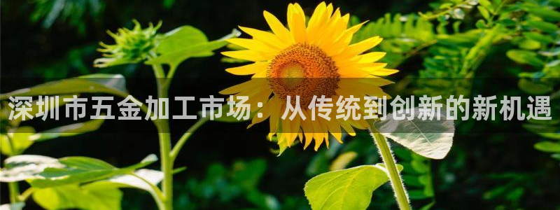 云顶集团3118acm