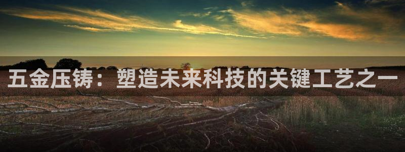 云顶国际音乐会所怎么样