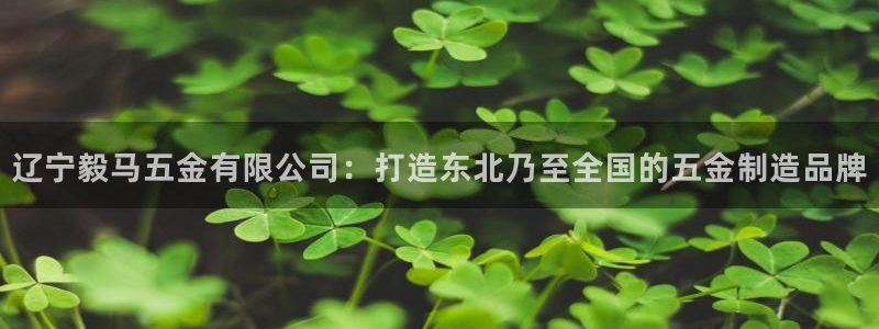 云顶国际测试服怎么进