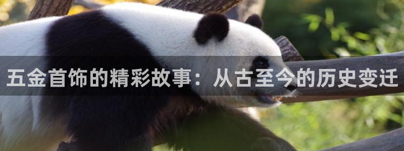 马来西亚云顶集团简介