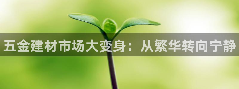 云顶国际游戏平台排行榜